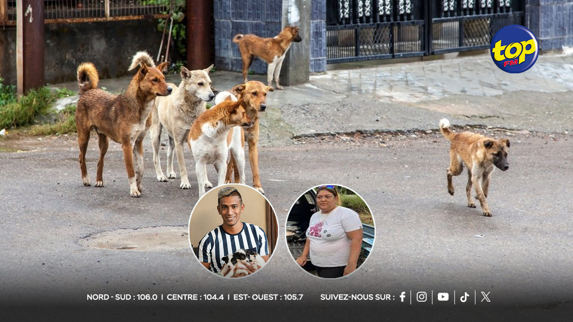 CHIEN-ERRANT CHIEN-ERRANT