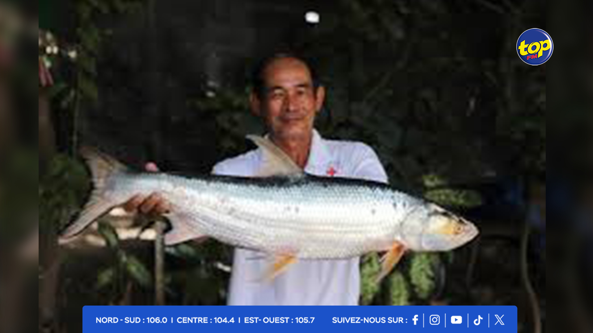 Cambodge - des poissons géants que l'on pensait disparus repérés dans le Mékong Cambodge - des poissons géants que l'on pensait disparus repérés dans le Mékong