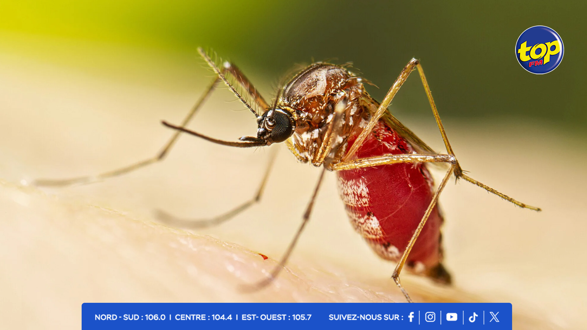 Chikungunya Chikungunya