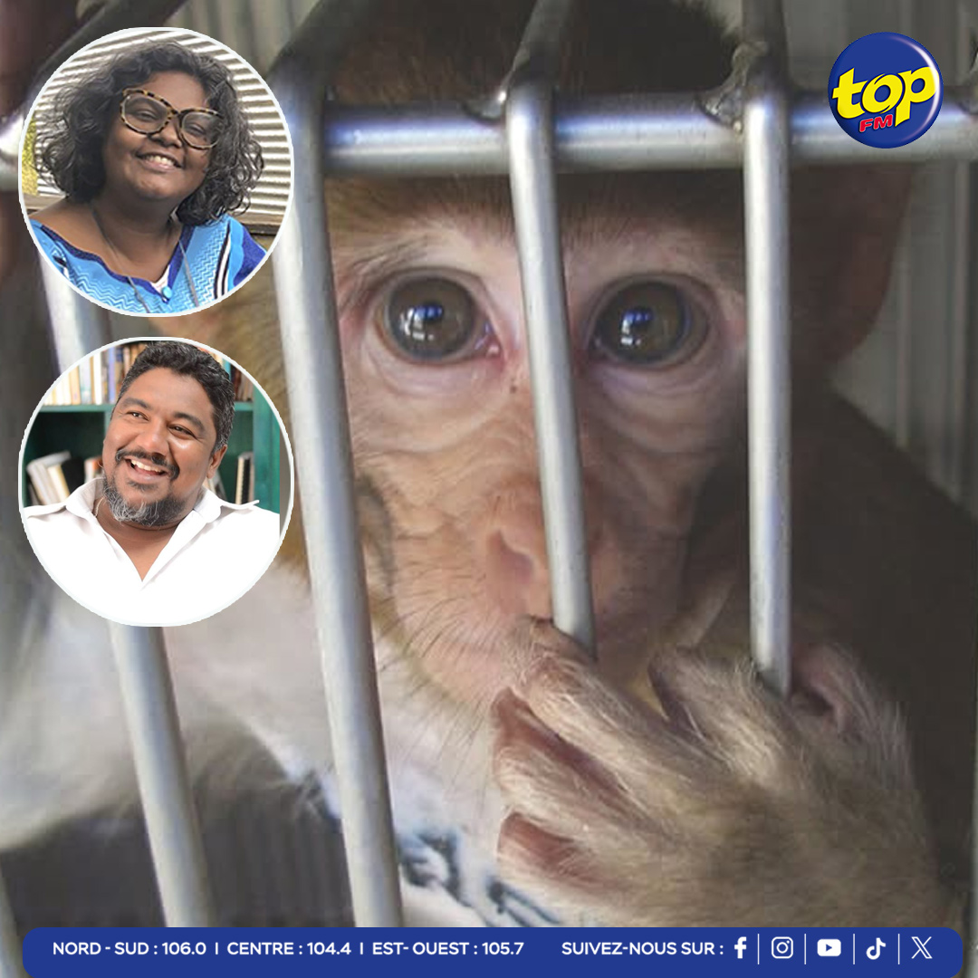 MONKEY-MASSACRE MONKEY-MASSACRE