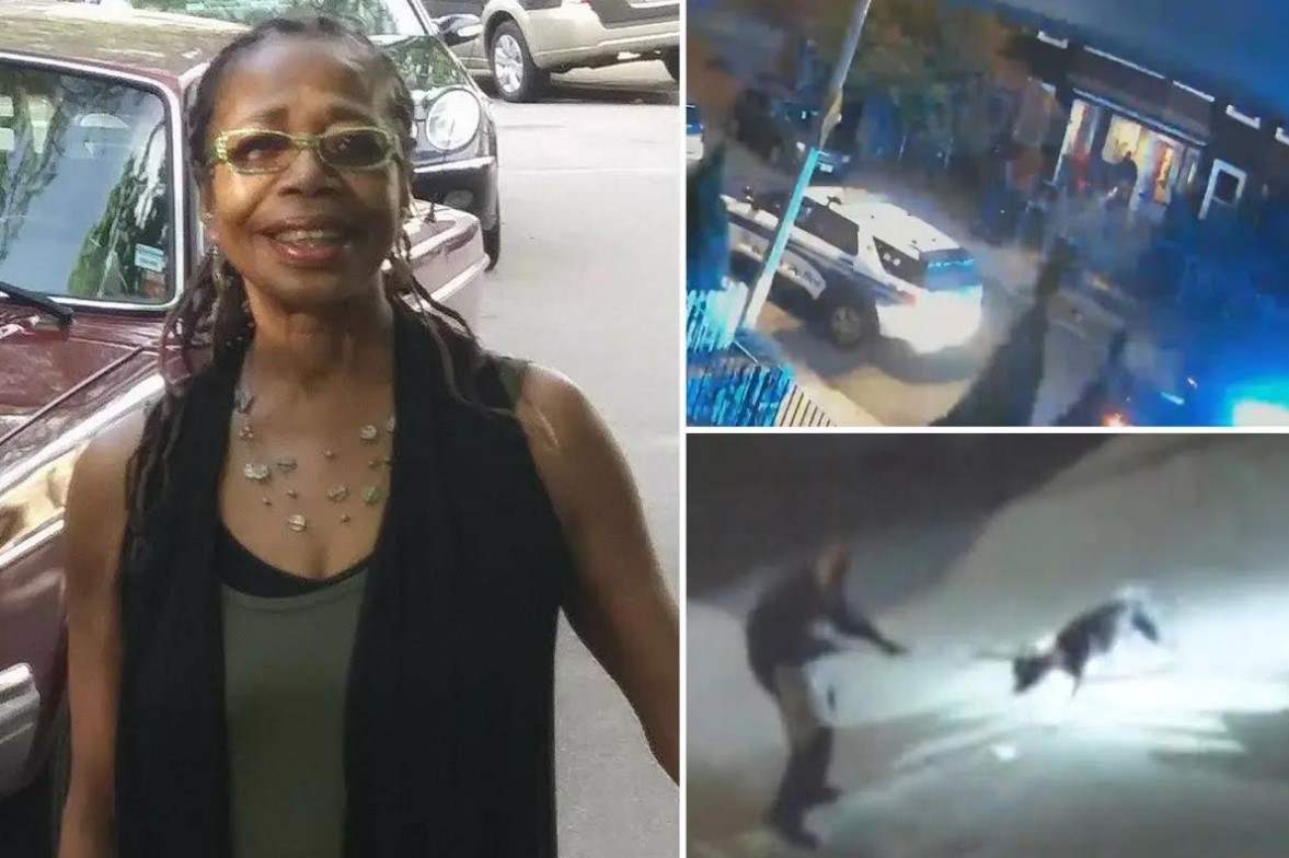 Etats-Unis : une femme âgée de 73 ans mutilée à mort par son propre pit-bull Etats-Unis : une femme âgée de 73 ans mutilée à mort par son propre pit-bull