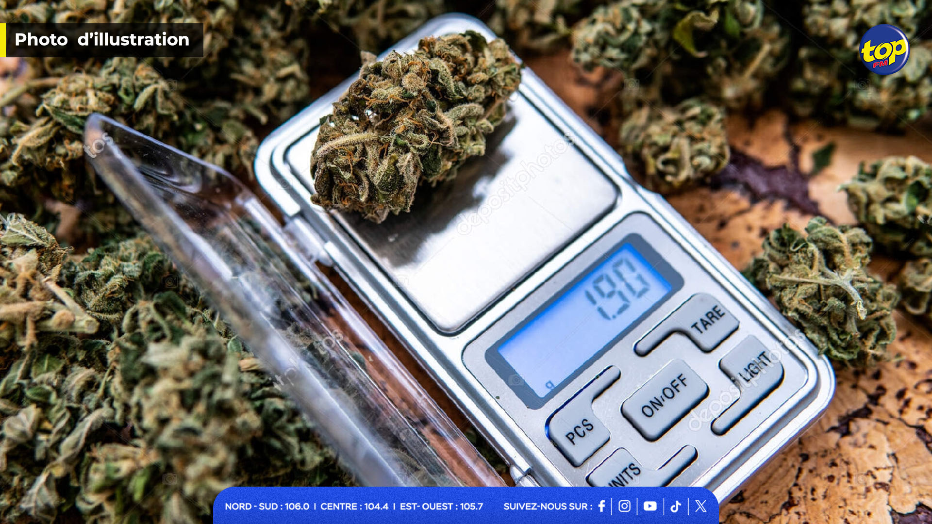 Trafic de cannabis Trafic de cannabis